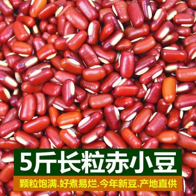 云南赤小豆 新货农家赤豆红豆薏米粥红芸豆豆类杂粮粗粮颗粒饱满图2