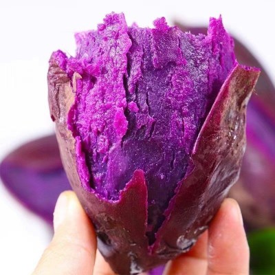 沙地香糯紫薯新鲜皮薄软糯现挖现发图2