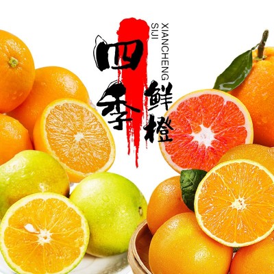 【四季鲜橙】产地供应湖北秭归一年四季挂树保鲜脐橙非赣南非奉节图2