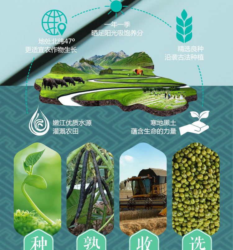 详情_09.jpg