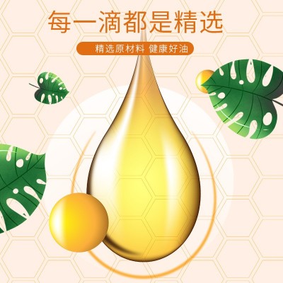 厂家现货750mL*2礼盒装一级花生植物油高油酸低温冷榨白衣花生油图2