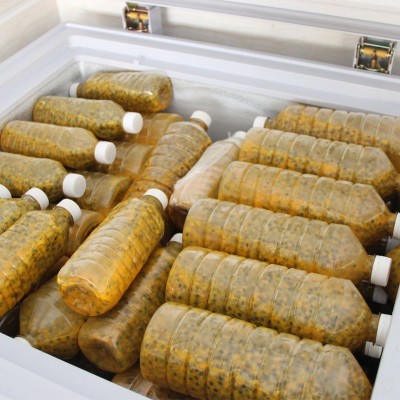 广西特产新鲜百香果鸡蛋果西番莲百香果酱果肉果汁原浆 4斤包邮图3