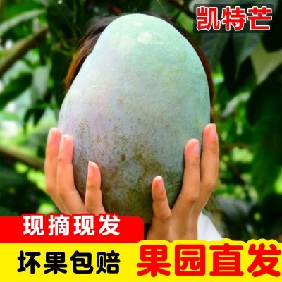攀枝花金煌芒果新鲜整箱水果一级大果现摘青大金煌芒5斤一件代发图2